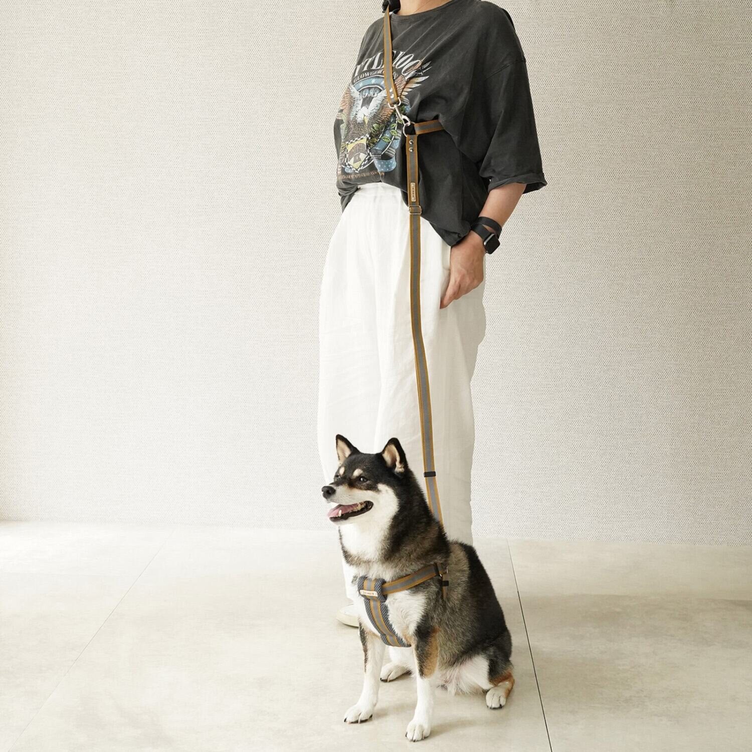 ＢＩＲＤＩＥ ラッセルクッション ショルダーリード＜Ｍ＞