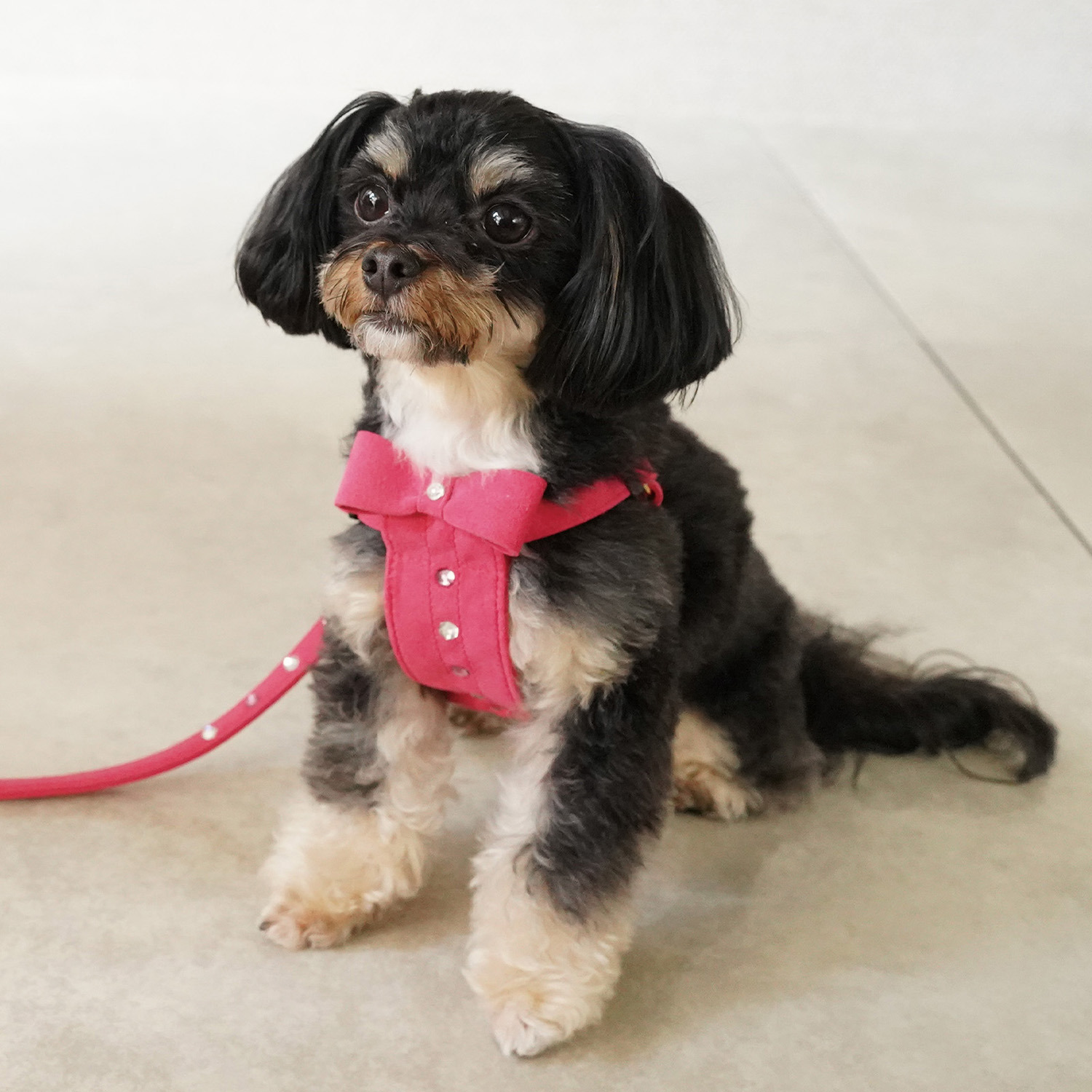 ＢＩＲＤＩＥ リンバーハーネス＜Ｍ＞