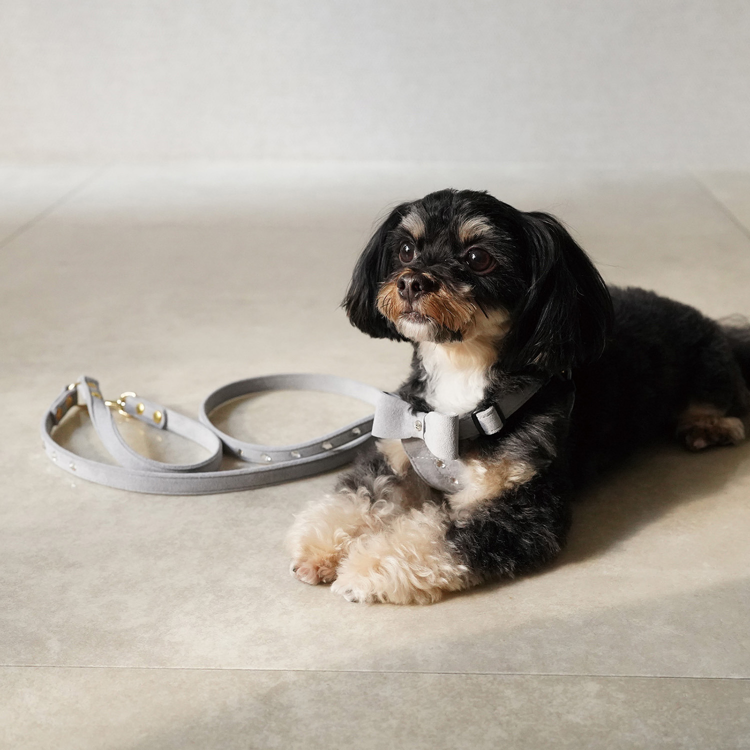 ＢＩＲＤＩＥ リンバーリード