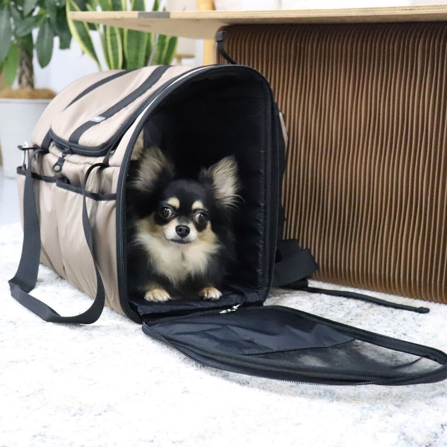 ＢＩＲＤＩＥ フィットライトリュック ＜Ｍ＞