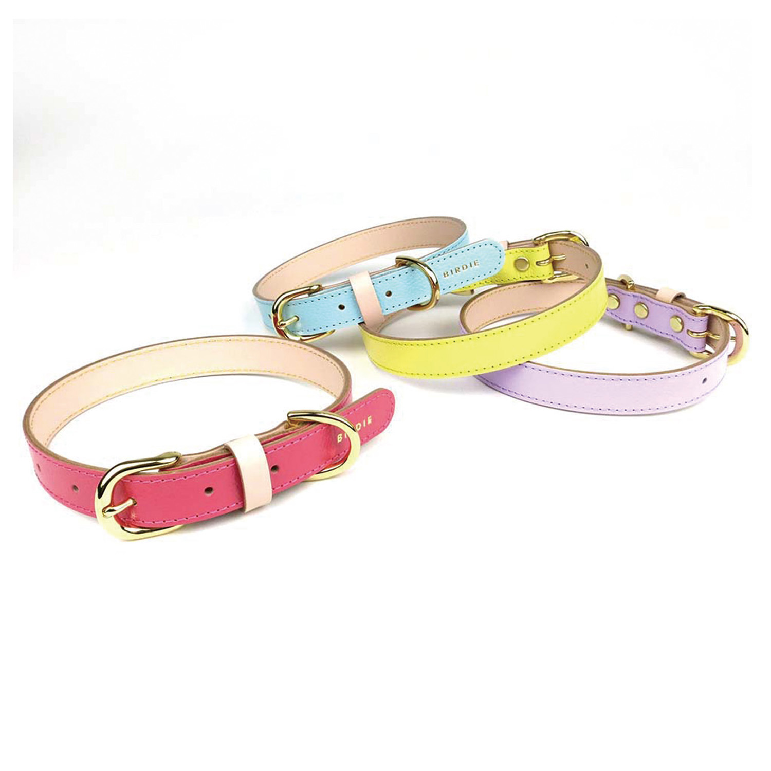 ＢＩＲＤＩＥ ボニーカラー＜Ｌ＞