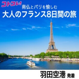 大人時間を愉しむ 癒しの南仏ニース＆ 花の都パリをめぐる フランス８日間 “羽田空港発着 　２名１室”