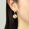 ステロ ステンレス ＣＺ フラッシュカットデザイン ピアス