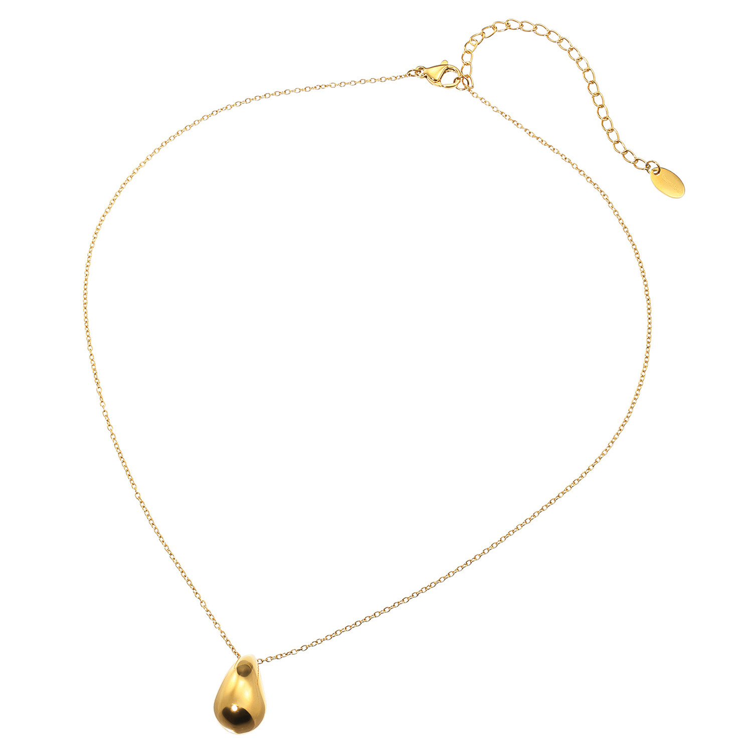 デイスティー サージカルステンレス ドロップシェイプ ネックレス