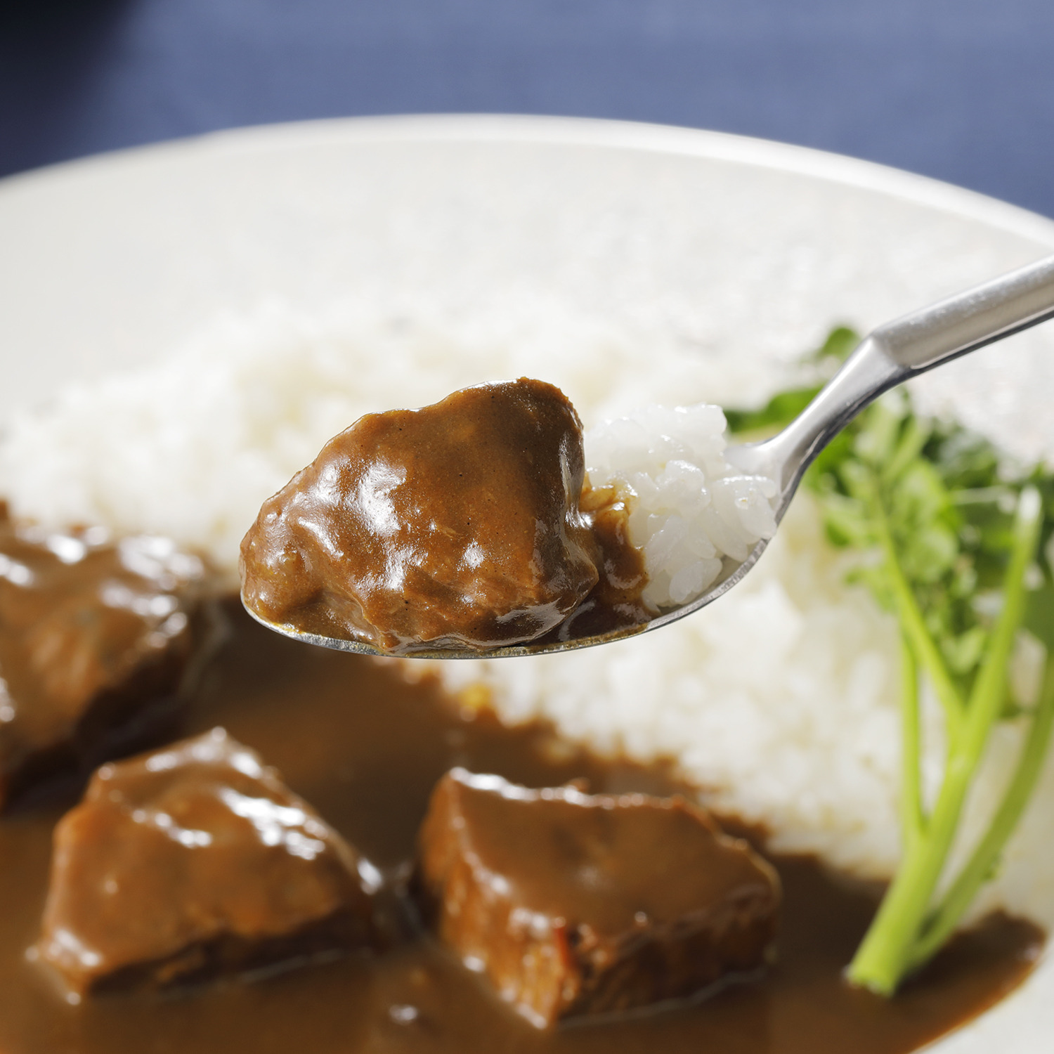 キッチン飛騨特製 ロイヤルカレー２缶セット