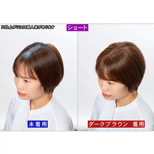 ぺスカ 特許取得！ ふんわりボリューム演出 クリップ不要！白髪特化型 ポイントウィッグ チャチャ＜ショート＞ 特別セット