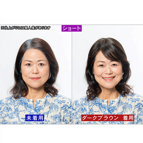 ぺスカ 特許取得！ ふんわりボリューム演出 クリップ不要！白髪特化型 ポイントウィッグ チャチャ＜ショート＞ 特別セット