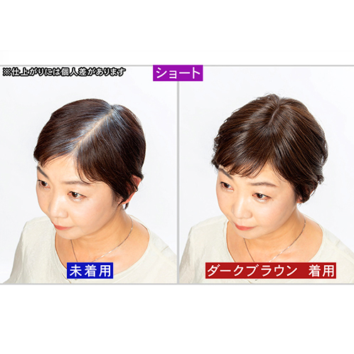 ぺスカ 特許取得！ ふんわりボリューム演出 クリップ不要！白髪特化型 ポイントウィッグ チャチャ＜ショート＞ 特別セット