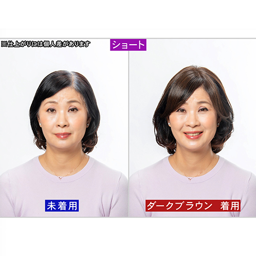 ぺスカ 特許取得！ ふんわりボリューム演出 クリップ不要！白髪特化型 ポイントウィッグ チャチャ＜ショート＞ 特別セット