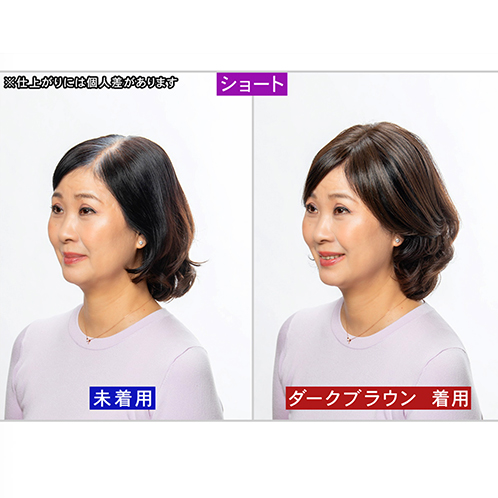 ぺスカ 特許取得！ ふんわりボリューム演出 クリップ不要！白髪特化型 ポイントウィッグ チャチャ＜ショート＞ 特別セット