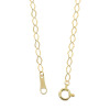 シャイン　シュプリーム １８Ｋ リップチェーン ロングネックレス
