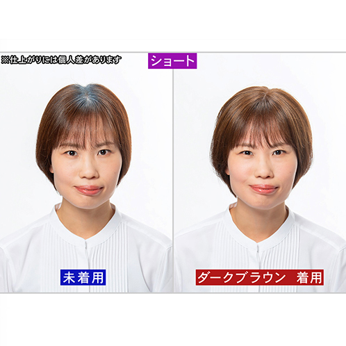 ぺスカ 特許取得！ ふんわりボリューム演出 クリップ不要！白髪特化型 ポイントウィッグ チャチャ＜ショート＞ 特別セット