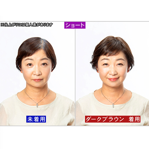 ぺスカ 特許取得！ ふんわりボリューム演出 クリップ不要！白髪特化型 ポイントウィッグ チャチャ＜ショート＞ 特別セット
