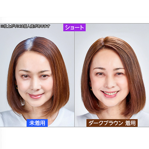ぺスカ 特許取得！ ふんわりボリューム演出 クリップ不要！白髪特化型 ポイントウィッグ チャチャ＜ショート＞ 特別セット