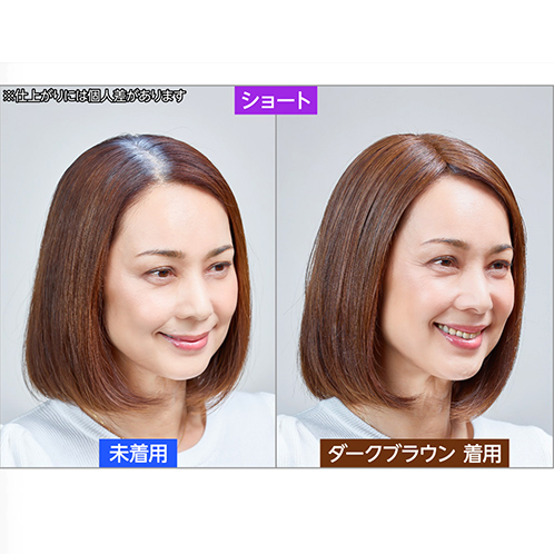 ぺスカ 特許取得！ ふんわりボリューム演出 クリップ不要！白髪特化型 ポイントウィッグ チャチャ＜ショート＞ 特別セット