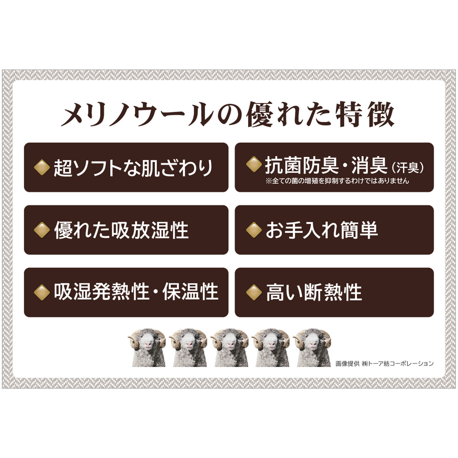 ヘ・エラ 日本製 抗菌防臭・消臭・吸湿発熱 極上メリノウール１００％ バレエネックインナー