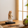たまふり屋 犬ｂｕｄｄｈａ 阿弥陀柴犬＜小＞