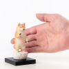 たまふり屋 犬ｂｕｄｄｈａ 阿弥陀柴犬＜小＞ コンプリートセット