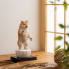 たまふり屋 犬ｂｕｄｄｈａ 阿弥陀柴犬＜中＞