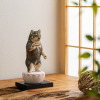たまふり屋 犬ｂｕｄｄｈａ 阿弥陀柴犬＜中＞
