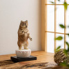 たまふり屋 犬ｂｕｄｄｈａ 阿弥陀柴犬＜中＞