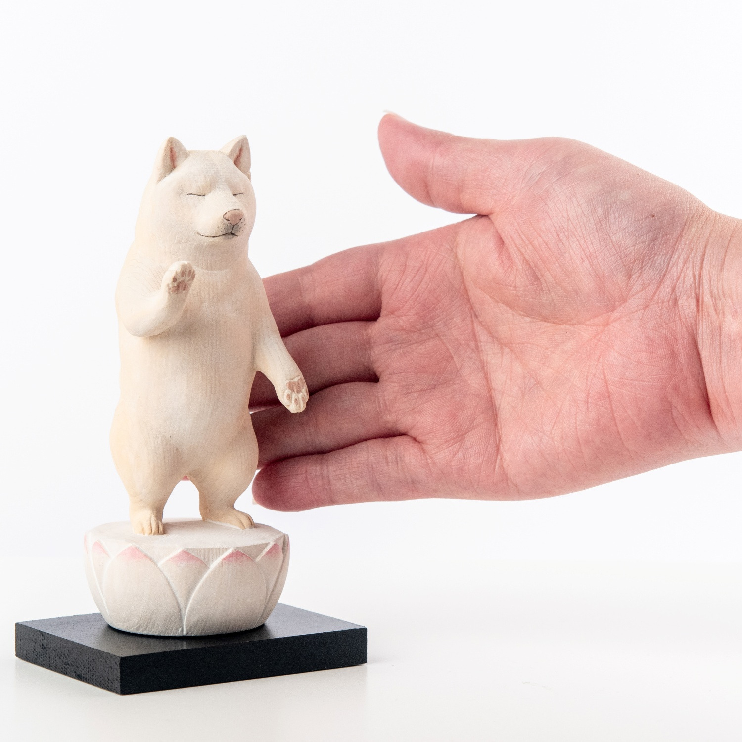 たまふり屋 犬ｂｕｄｄｈａ 阿弥陀柴犬＜中＞ コンプリートセット