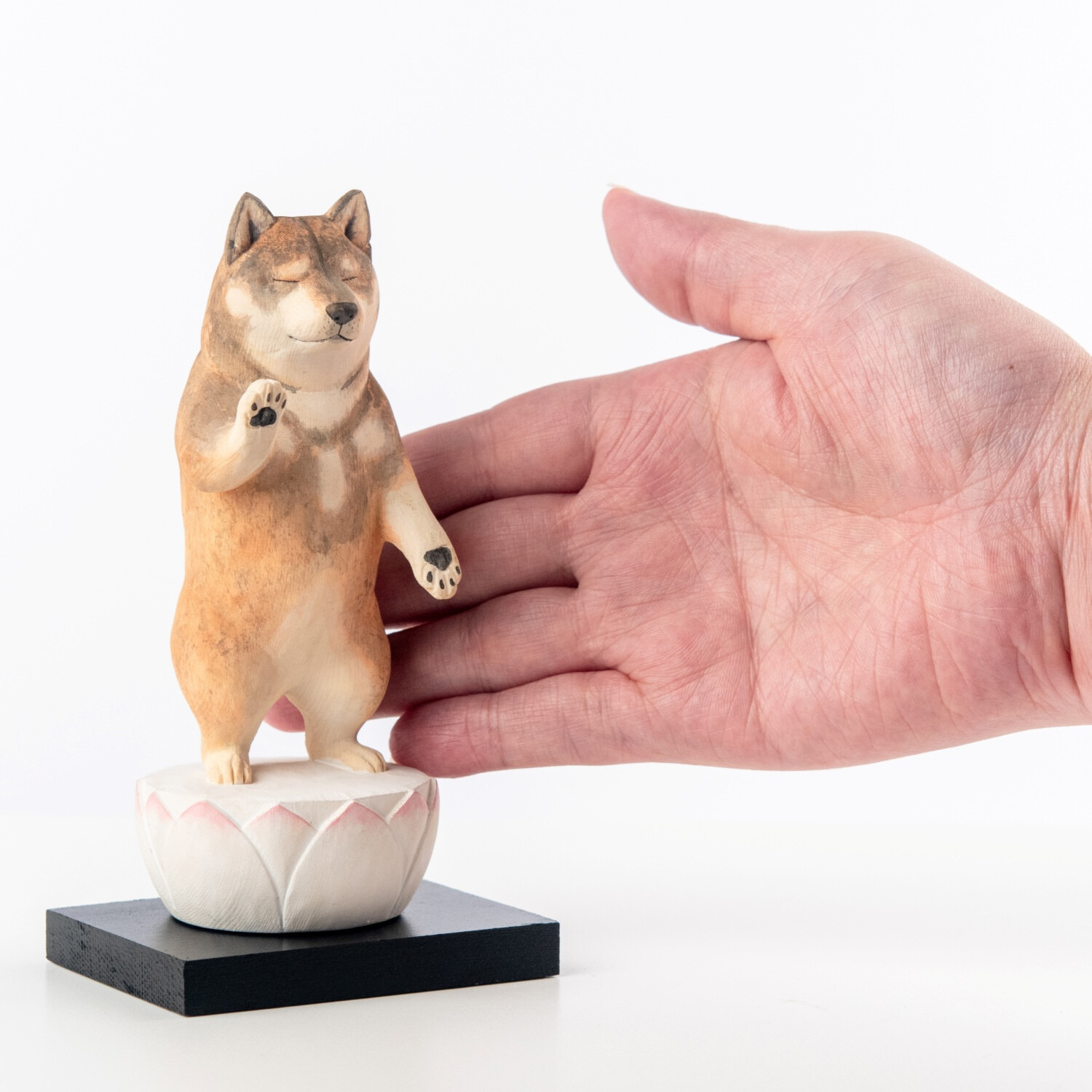 たまふり屋 犬ｂｕｄｄｈａ 阿弥陀柴犬＜中＞ コンプリートセット