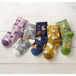 三笠のくつした 口ゴムゆったり わんこソックス ５足セット