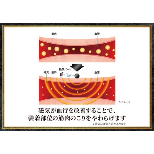 アンラスト＆デルークス 品格の輝き、実は医療機器 磁気ネックレス Ｇｌｅａｍ−グリーム ショートダブル