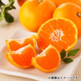 グルメ・お酒