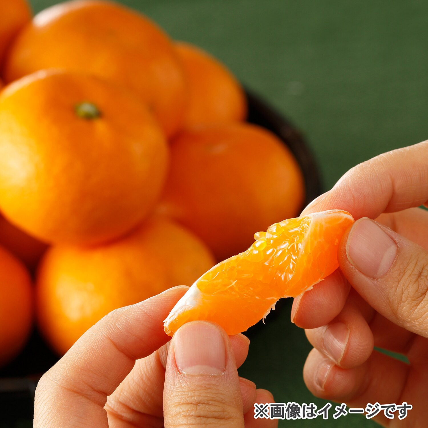 愛媛県西宇和産 小玉みかん“玉手箱”