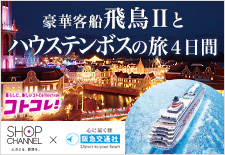 大人時間を愉しむ豪華客船飛鳥Ⅱに2泊する船旅と光輝くハウステンボス・呼子のイカ・柳川名物うなぎを堪能する旅行4日間