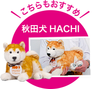 こちらもおすすめ 秋田犬HACHI